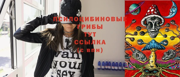 сатива Волосово