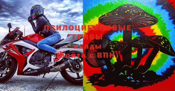 стафф Бугульма