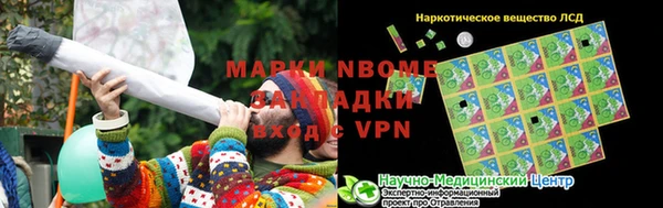 ГАЛЛЮЦИНОГЕННЫЕ ГРИБЫ Богданович