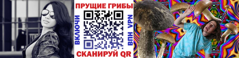 продажа наркотиков  площадка Telegram  Псилоцибиновые грибы ЛСД  Задонск 
